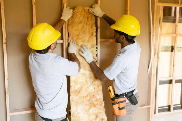 Best Insulation Air Sealing  in Brooklyn, IN